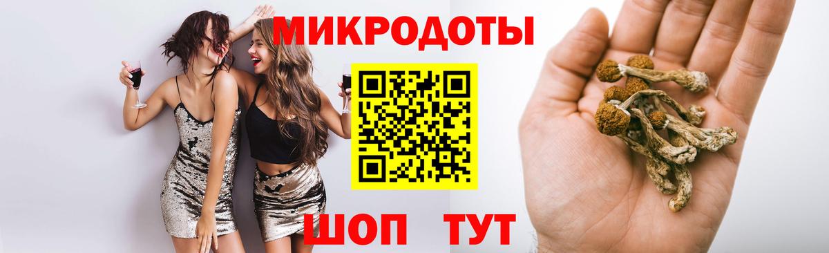 Псилоцибиновые грибы Psilocybine cubensis  Вход с VPN  Ленинск-Кузнецкий 
